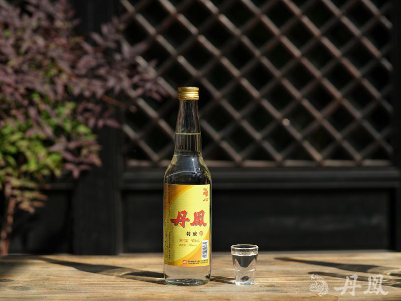 52°麻豆网址在线观看特酿