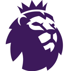 英超联赛 狼队VS阿斯顿维拉20260228