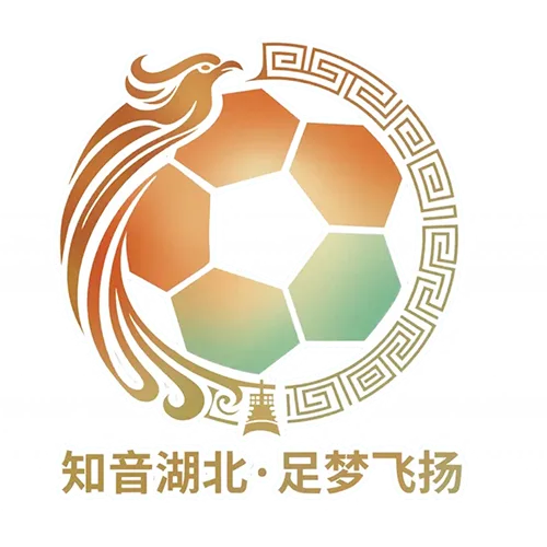 湖北省城市足球联赛 咸宁外星人队VS宜昌东阳光队20260718