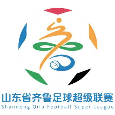 山东省齐鲁足球超级联赛 德州古贝春VS滨州创新队20260808